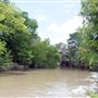 Brackenridge Park