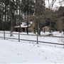The Flying H Ranch