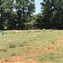 The Flying H Ranch