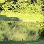 Pineforest Golf Club
