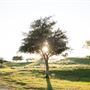 Two Wishes Ranch