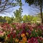 Clark Gardens Botanical Park