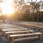 The Cedars Ranch