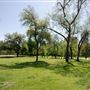 Reverchon Park