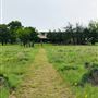 Obregon Ranch