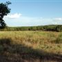 Old Ponderosa Ranch