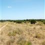 Old Ponderosa Ranch