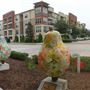 Pearland Town Center