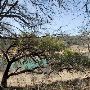 Milton Reimers Ranch County Park