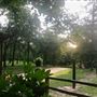 Sabor A Pasion Estate & Vineyard
