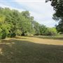 Waldhauser Property