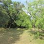 Waldhauser Property