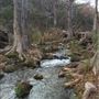 Inspiring Oaks Ranch