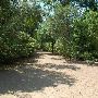 Red Bud Isle