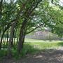 Bonnie Wenk Park