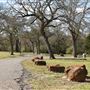 Confederate Reunion Grounds State Historic Site