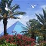 Moody Gardens