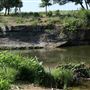 Brazos River at FM 4 Bridge