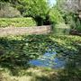Clark Gardens Botanical Park