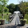 Clark Gardens Botanical Park