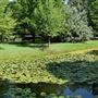 Clark Gardens Botanical Park