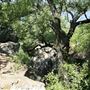 Lake Mineral Wells State Park