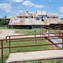 Hamilton Cotton Gin