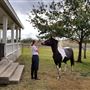 The Rustoration Ranch