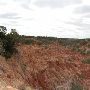 Ranger Creek Ranch