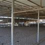 Clifton Fairgrounds