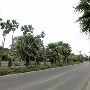 Palm Boulevard Neighborhood