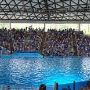 SeaWorld Adventure Park