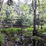 Martin Dies, Jr. State Park