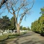 Lubbock Cemetery