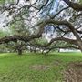 Boerne City Park
