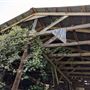 Rural Farm - Two House Property