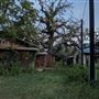 Rural Farm - Two House Property