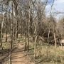 Bastrop County Nature Park