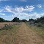 Rose Ranch