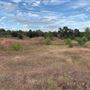 Rose Ranch