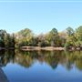 Synergy Park