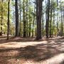 Synergy Park
