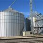 Top Tier Grain & Feed