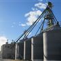 Top Tier Grain & Feed