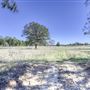 Rural Farm - Two House Property