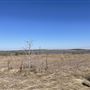 Studio Estates Acres