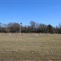 Marlin Municipal Airport (T-15)