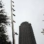 Nasher Sculpture Center