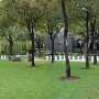 Nasher Sculpture Center