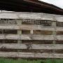 Navasota Livestock Auction